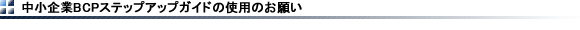 BCPXebvAbvKCh̎gp̂肢